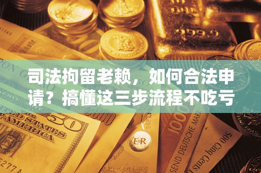 济南司法拘留老赖，如何合法申请？搞懂这三步流程不吃亏！