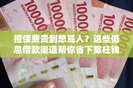 济南担保费贵到想骂人？这些低息借款渠道帮你省下冤枉钱