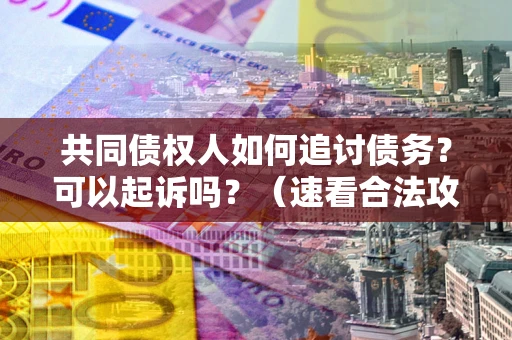 济南共同债权人如何追讨债务？可以起诉吗？（速看合法攻略）